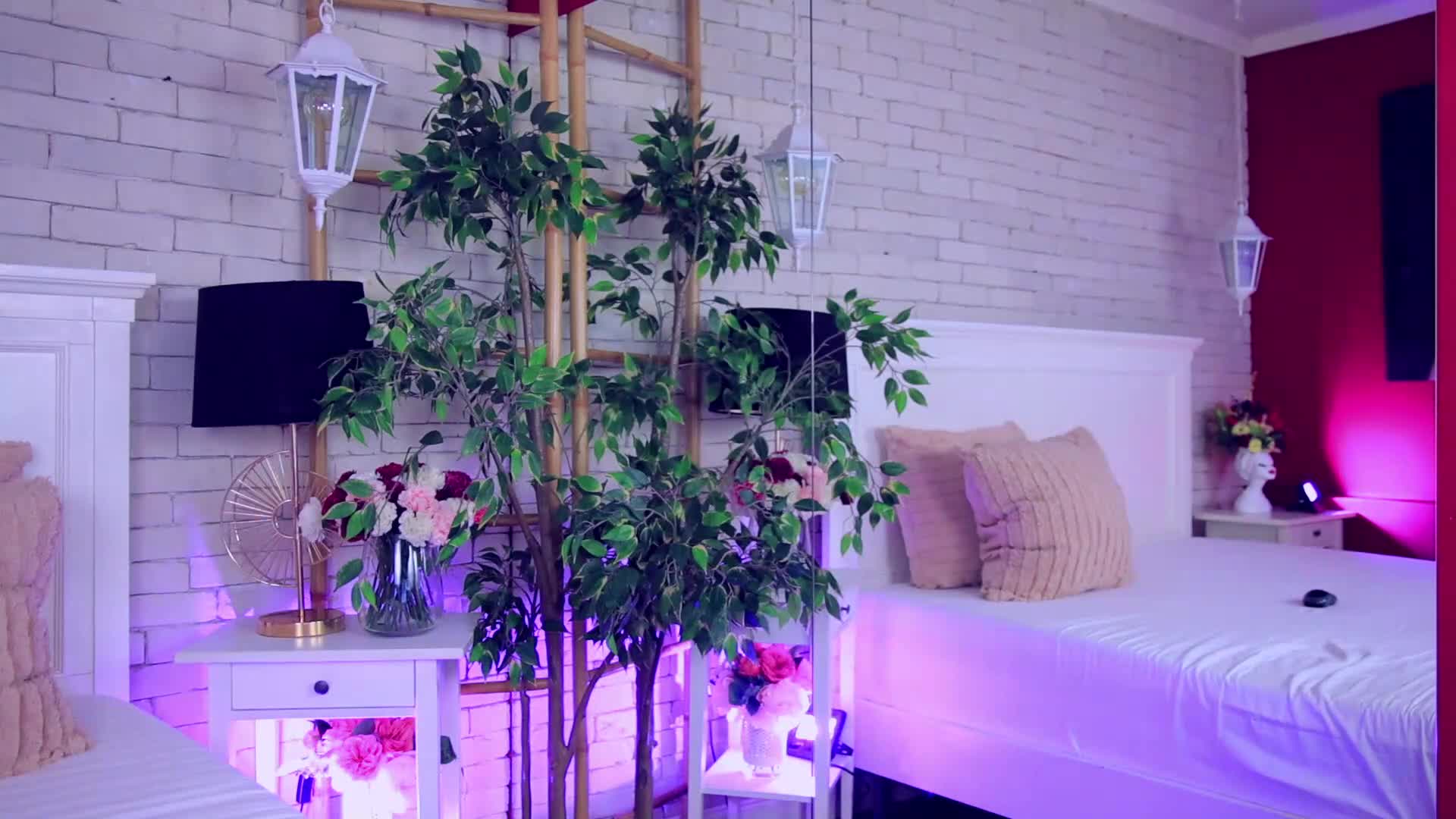 anabellastar 2026-01-30 06:41:56