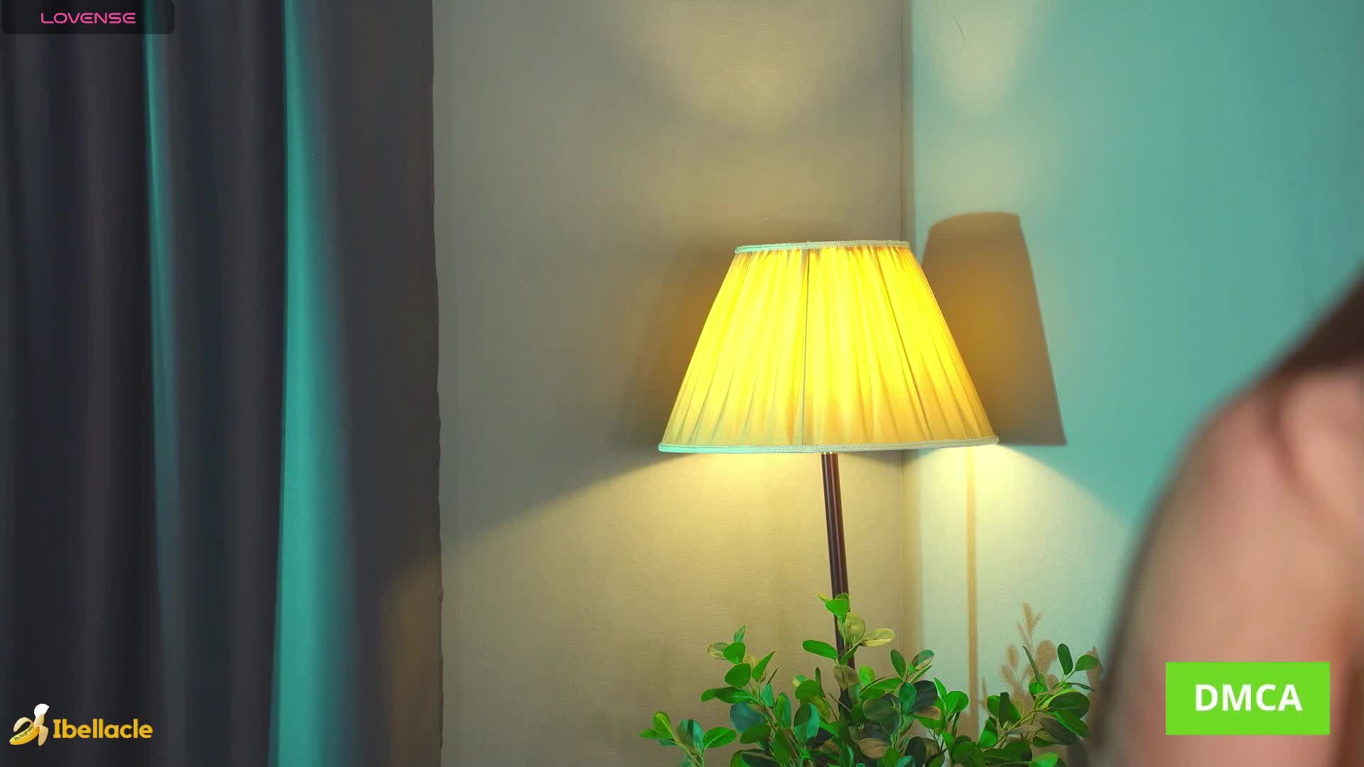 bellacle 2026-01-14 14:40:33