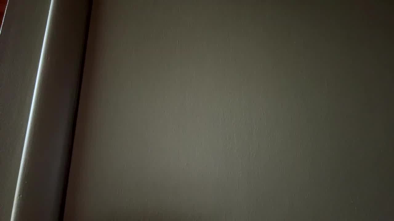 emersoncane 2026-01-14 21:38:04