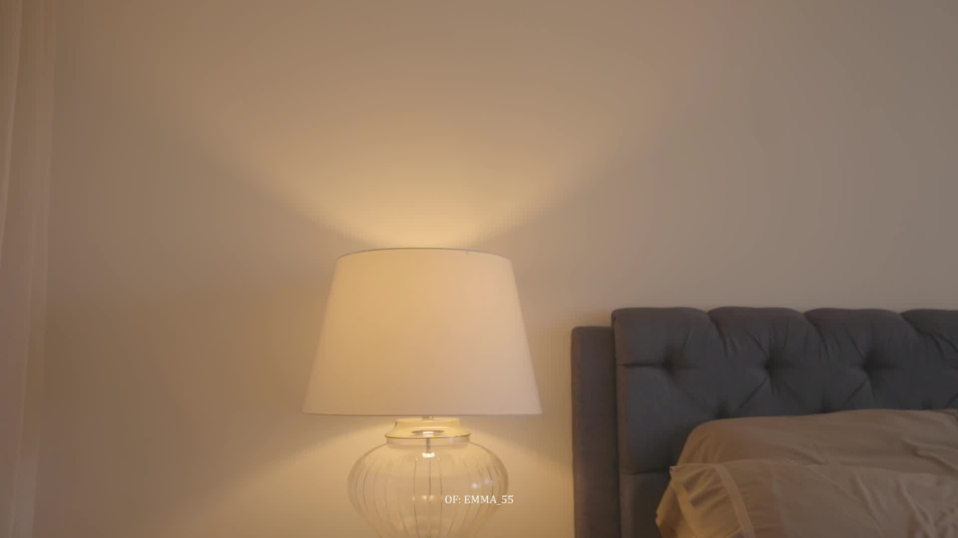 emma_lu1 2026-01-20 17:11:00