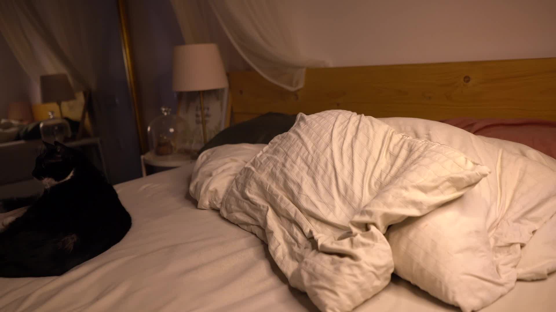 ladysweet_x 2026-01-14 13:03:39