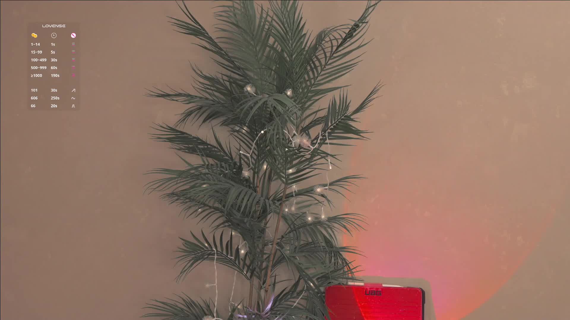 mia_milagros 2026-01-13 00:45:48