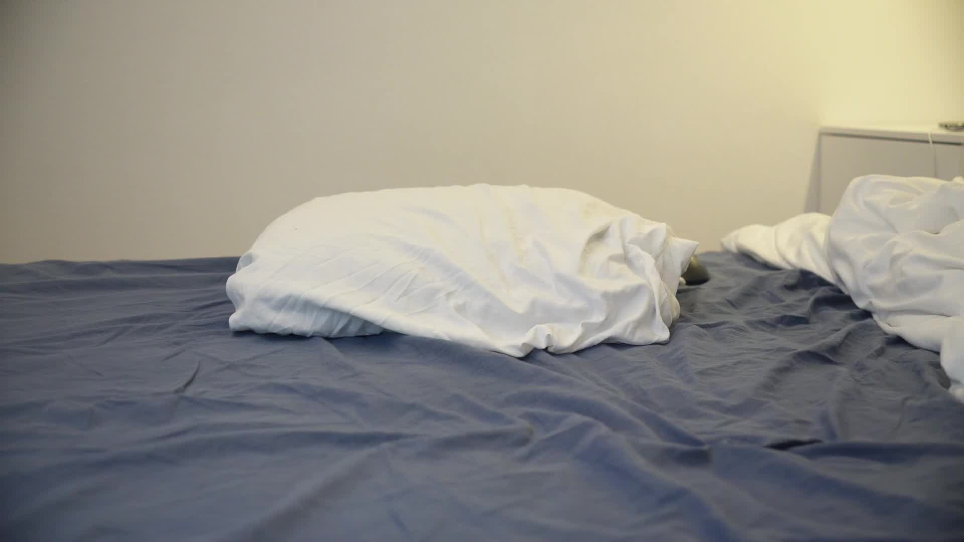 milablum 2026-01-21 01:09:15