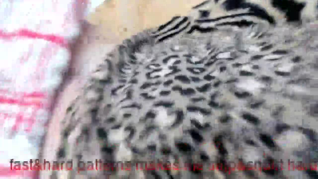 my_moon_light 2026-01-17 16:24:16