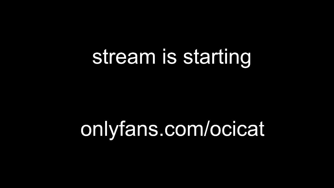 ocicat 2026-01-11 03:08:27