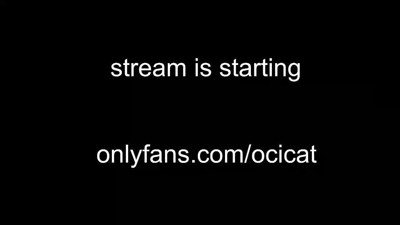 ocicat 2026-01-13 03:03:57