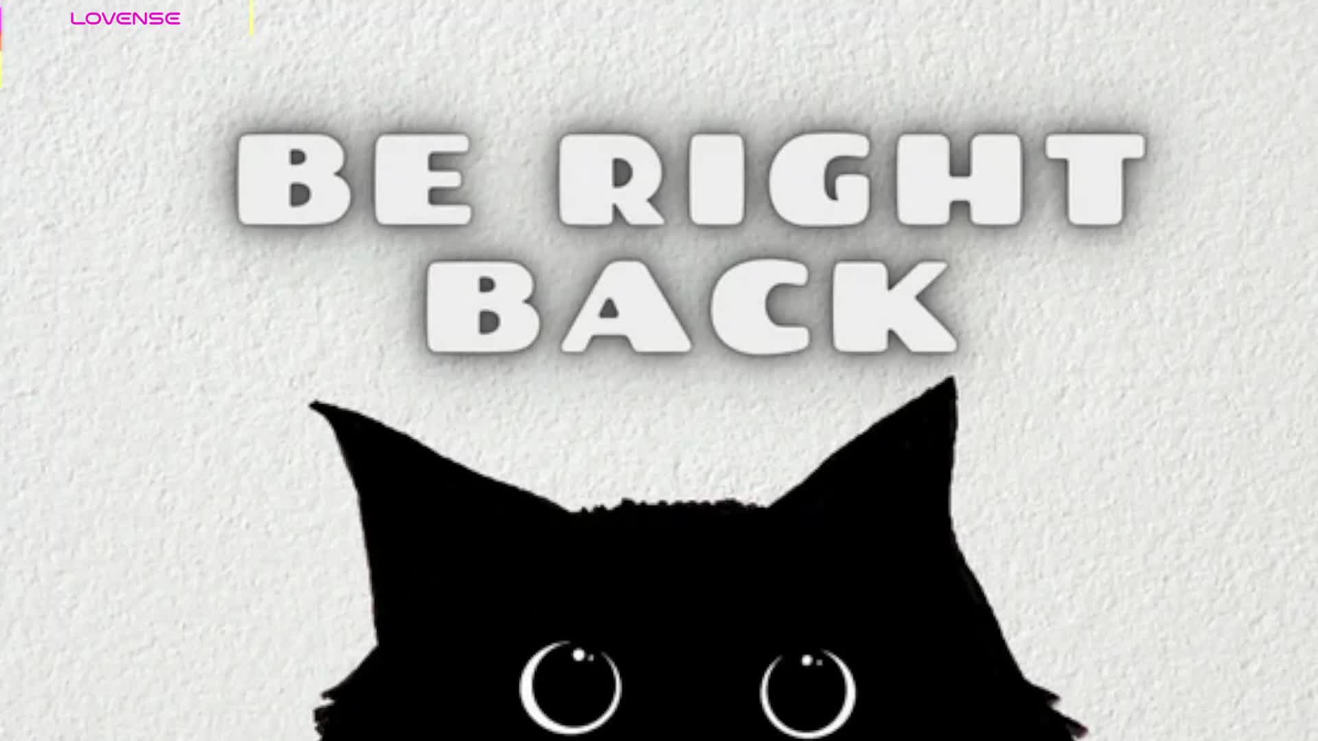 sellapink 2026-01-20 17:18:21