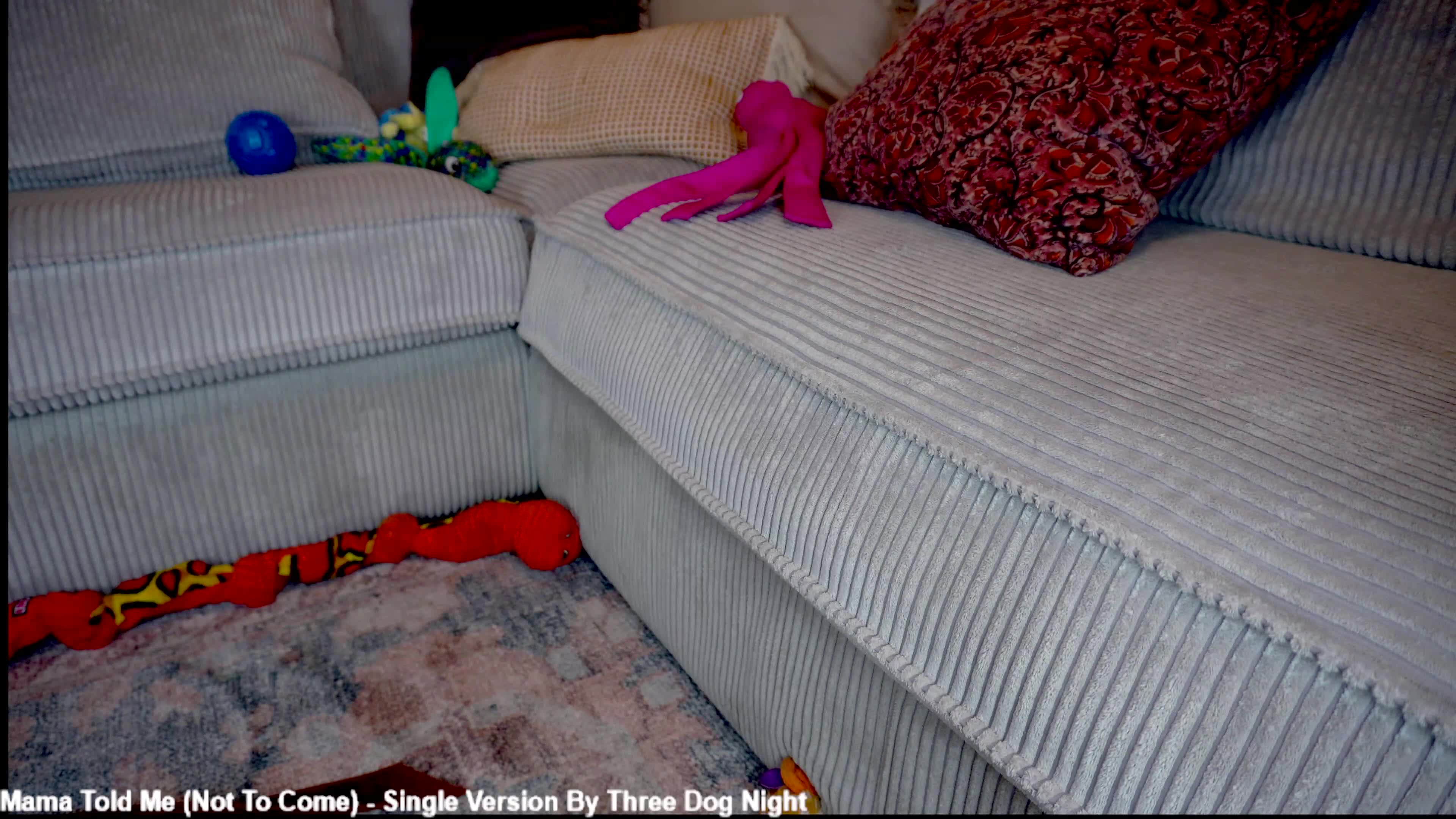 x_lily_x 2026-01-16 03:12:53