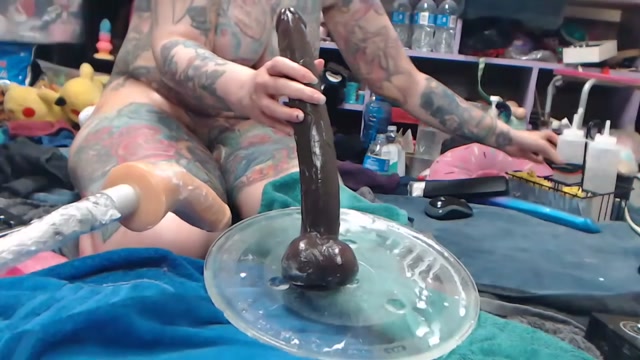 animergamergirl 2026-02-08 11:07:00