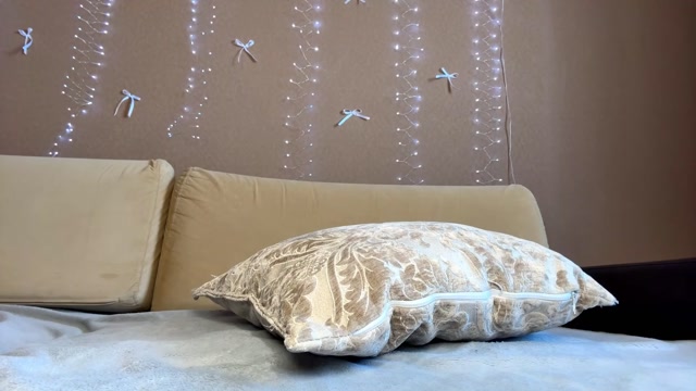 annrosy 2026-02-11 11:48:30