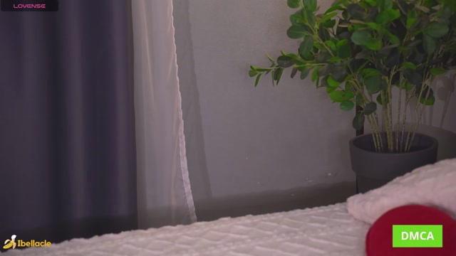 bellacle 2026-02-14 11:57:59