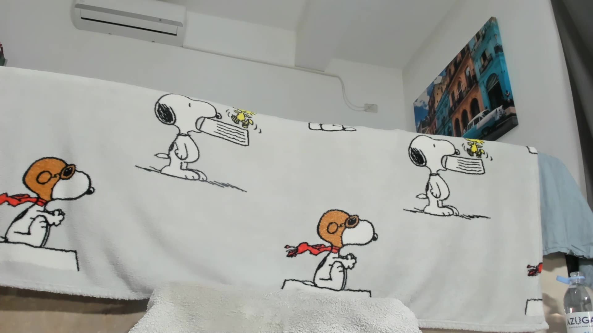 bornforporn_ 2026-02-06 15:41:28