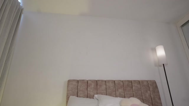 camilitasu 2026-02-13 17:21:43