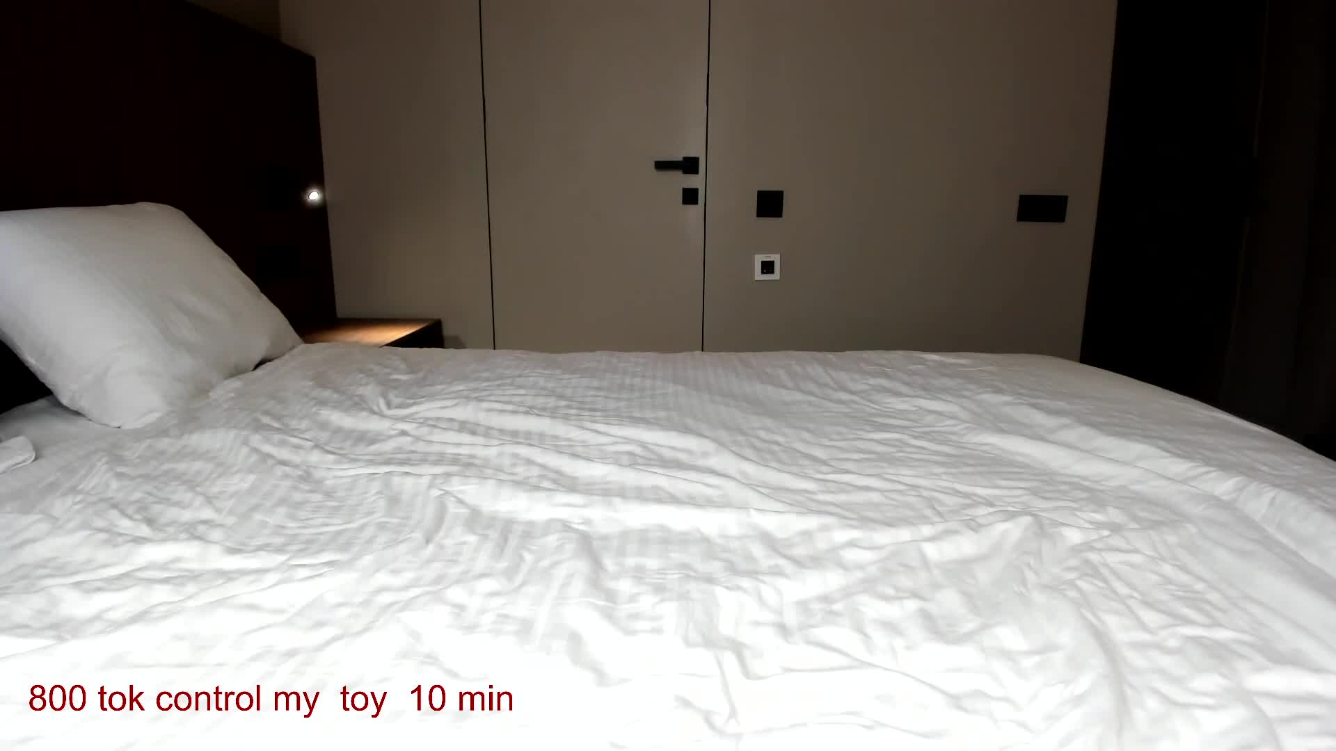 carolinaherera 2026-02-05 14:29:23