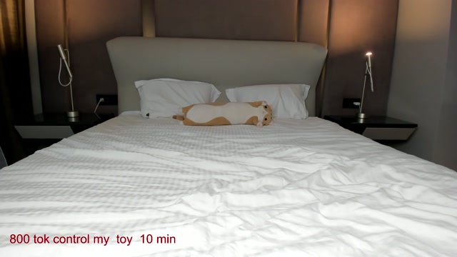 carolinaherera 2026-02-18 14:08:25