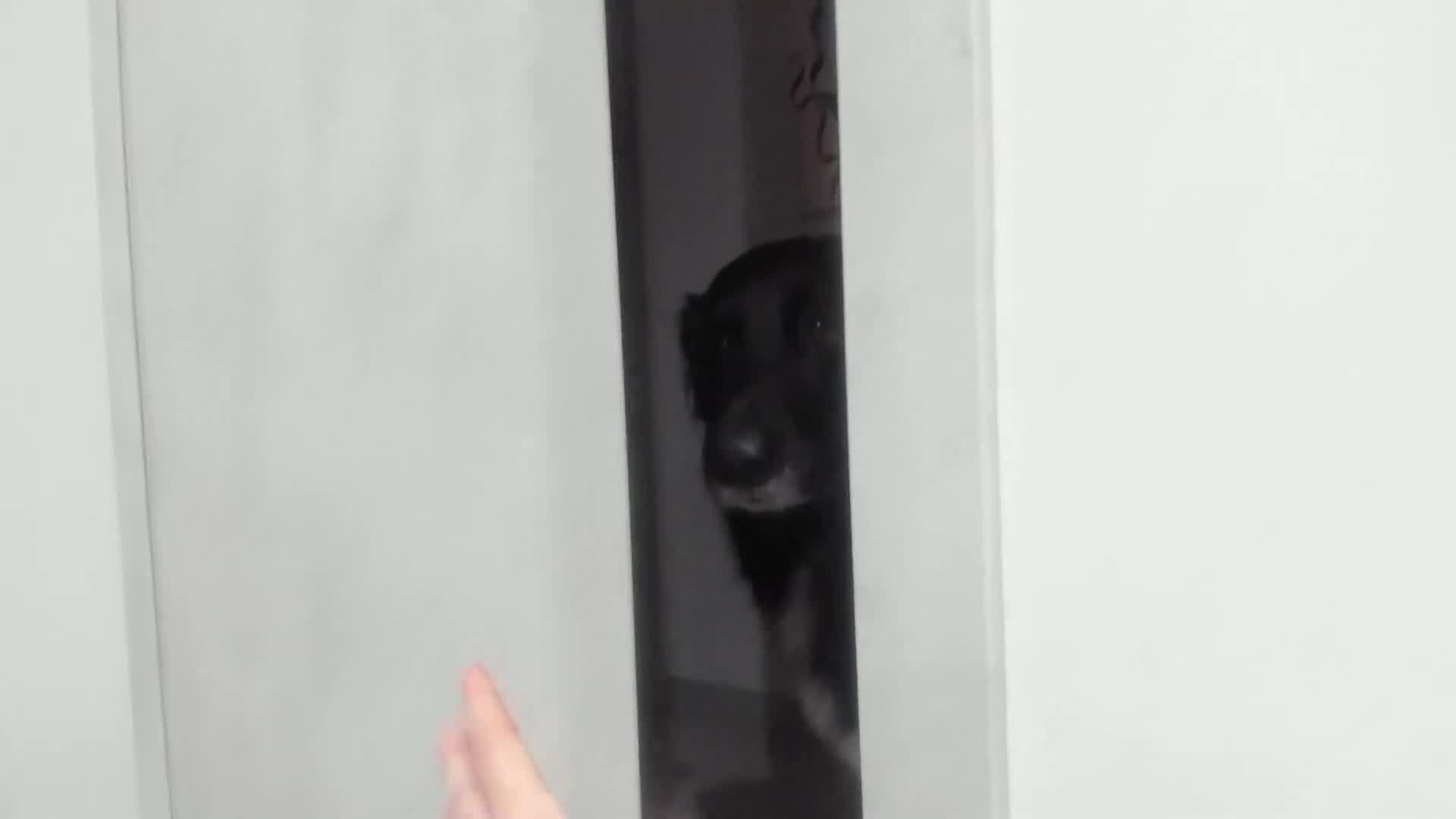 catty190 2026-02-04 18:51:53