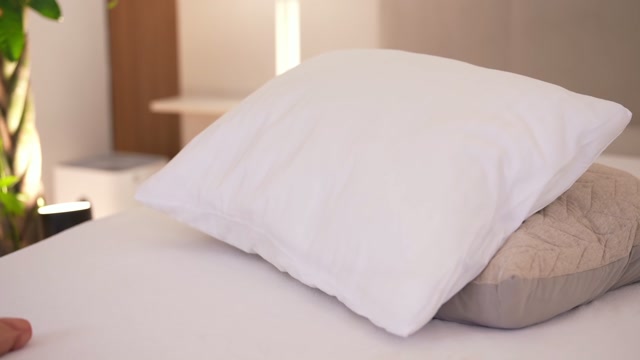 dovia 2026-02-14 11:55:04