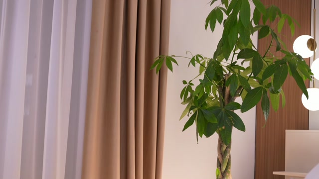 dovia 2026-02-14 13:59:56