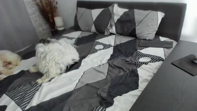 dyanne18 2026-02-23 17:23:59