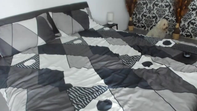 dyanne18 2026-02-26 19:30:16