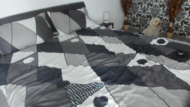 dyanne18 2026-02-26 19:32:12