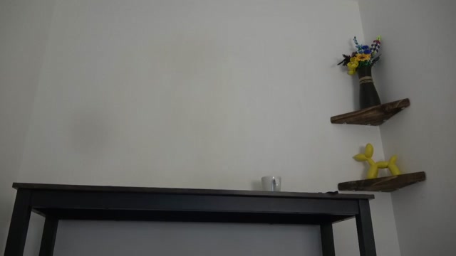 english_rose__ 2026-02-23 11:54:05