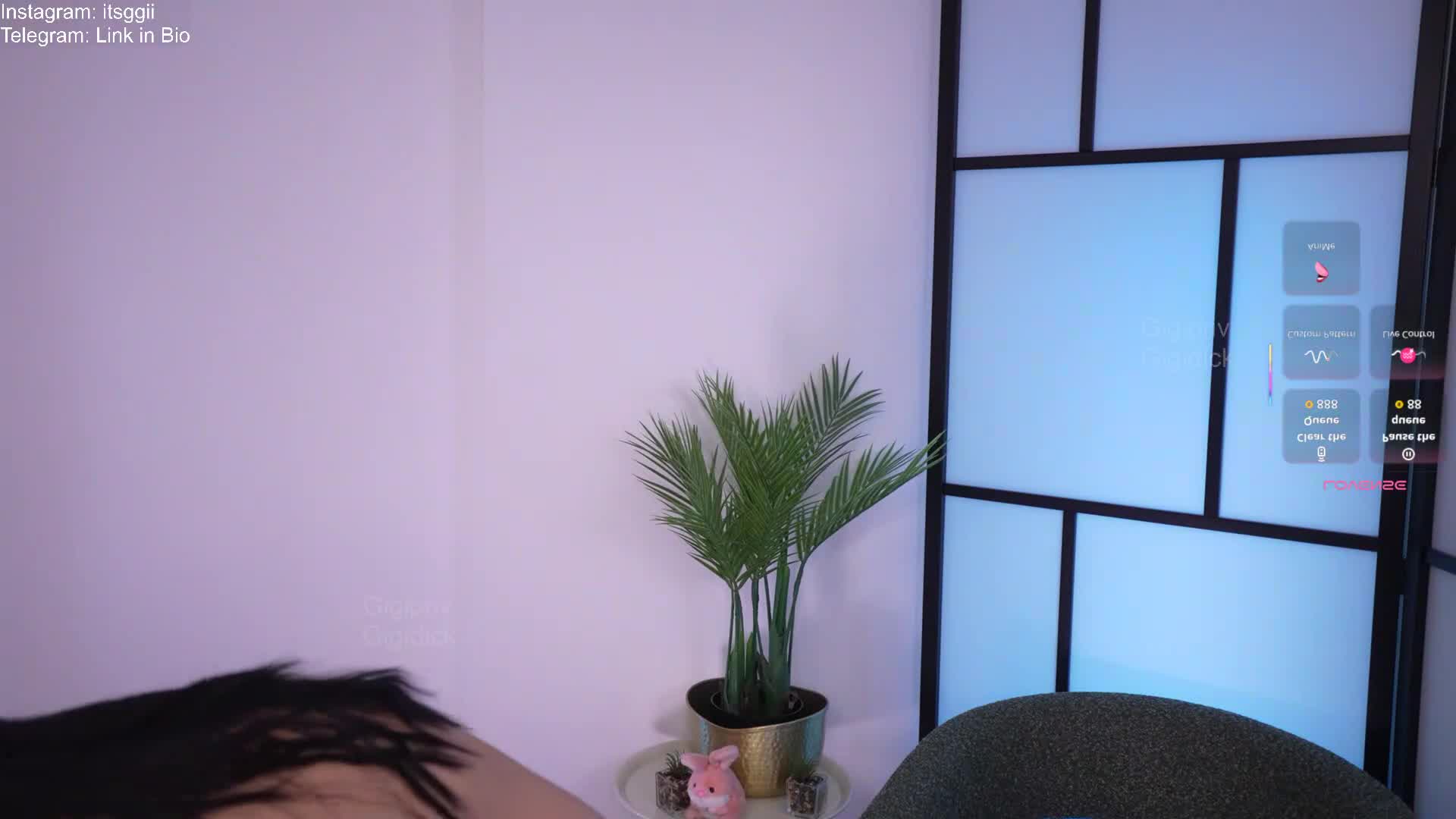 gigi_ulala 2026-02-01 02:09:30