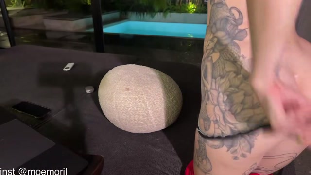 golden_alinee 2026-02-24 16:27:16