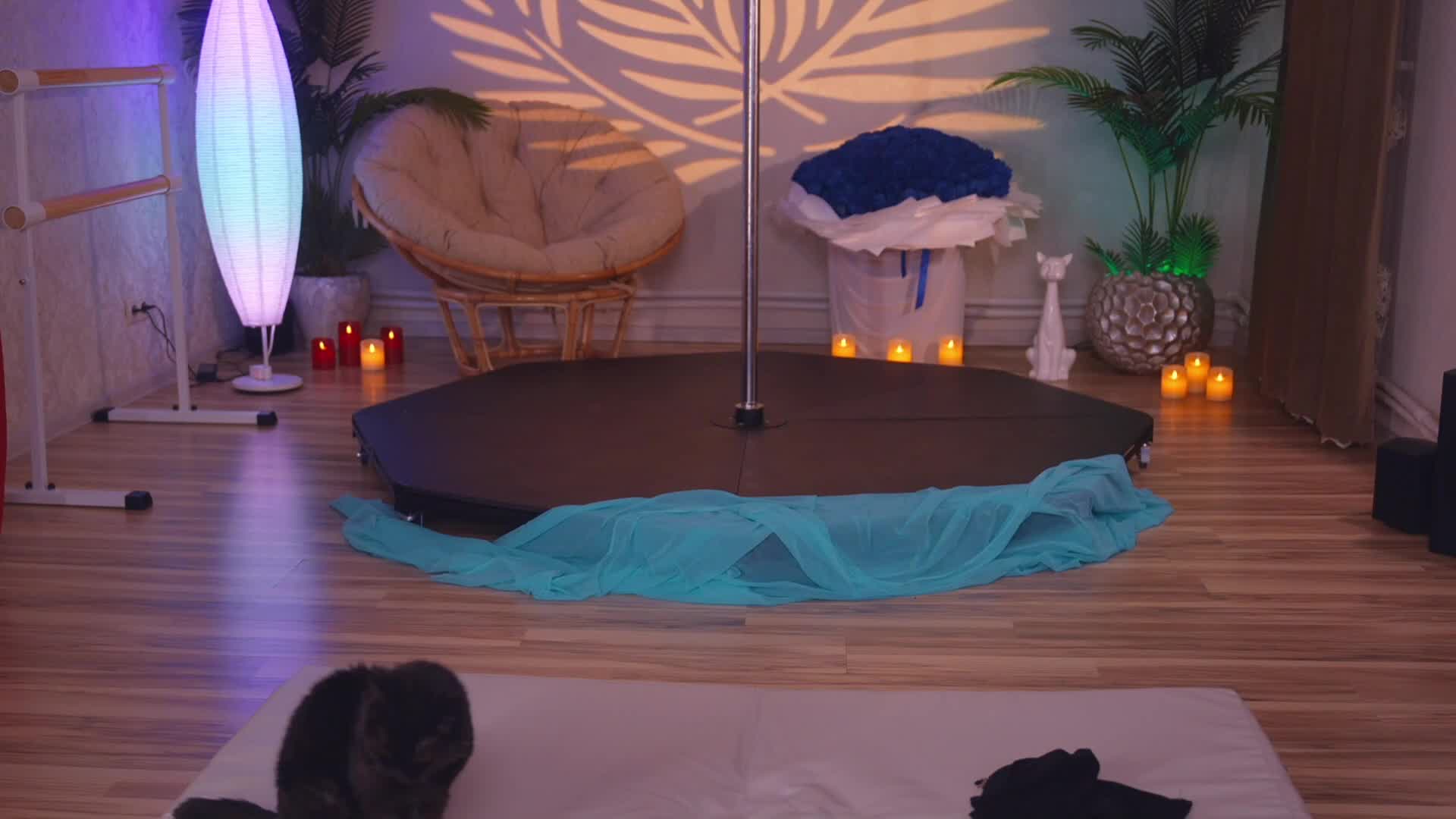 kittycaitlin 2026-02-04 20:59:36