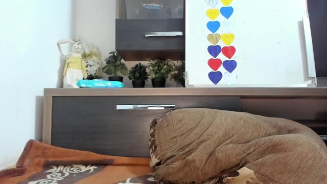 mellbell_ 2026-02-26 23:52:49