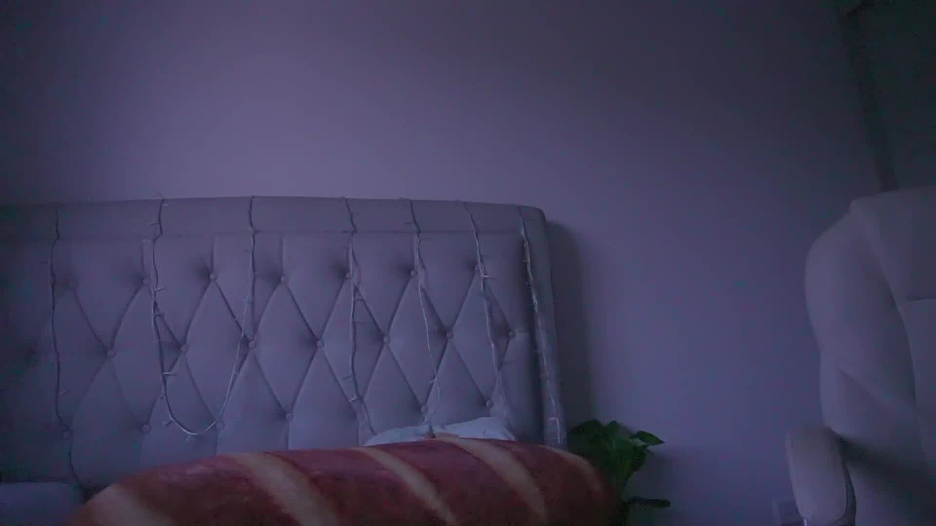 mila_1 2026-02-06 00:33:06