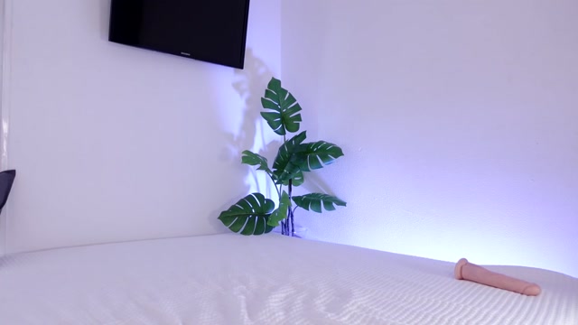 miladenver 2026-02-14 18:28:43