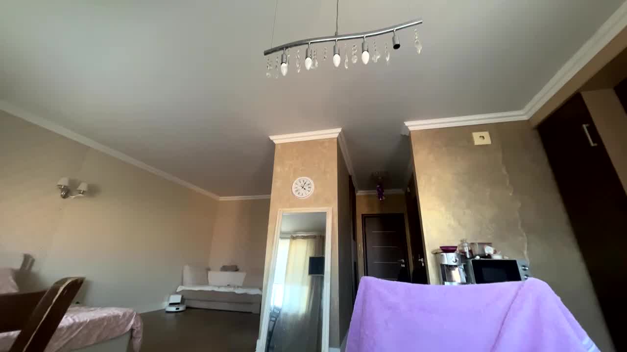 _morpho_ 2026-01-31 16:04:04