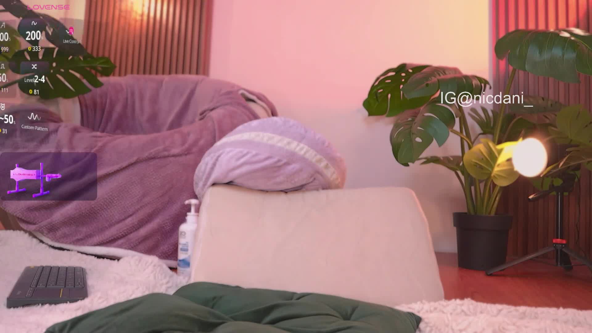 nicdani_1 2026-02-03 06:01:04