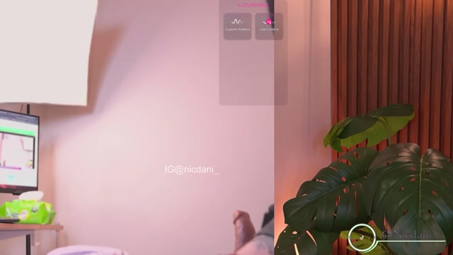 nicdani_1 2026-02-25 09:37:51