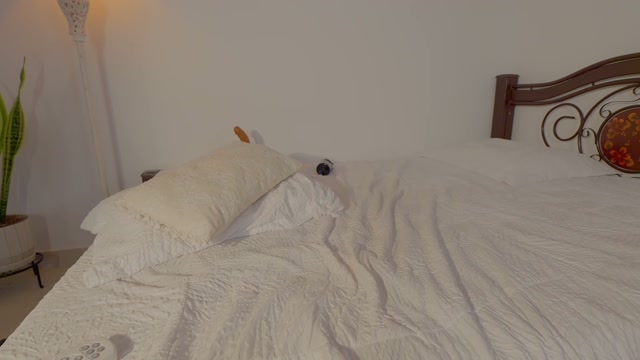 nicolle_mitchelle 2026-02-13 18:06:46