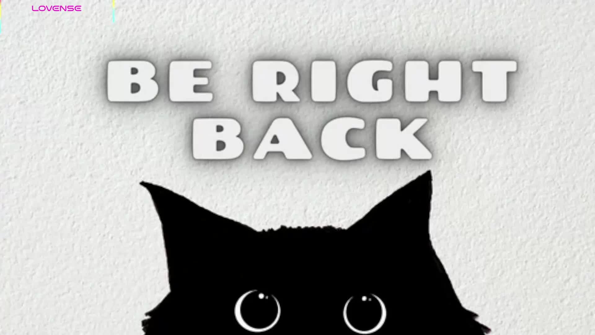 sellapink 2026-02-04 16:28:47