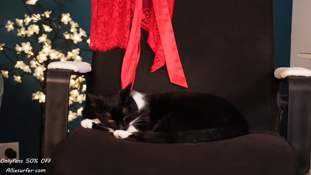 surfergirl121 2026-02-14 22:55:35