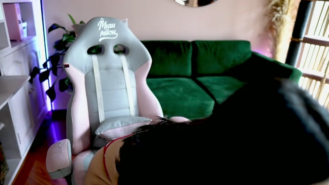 tattoo_ninja_kitty 2026-02-08 17:26:31