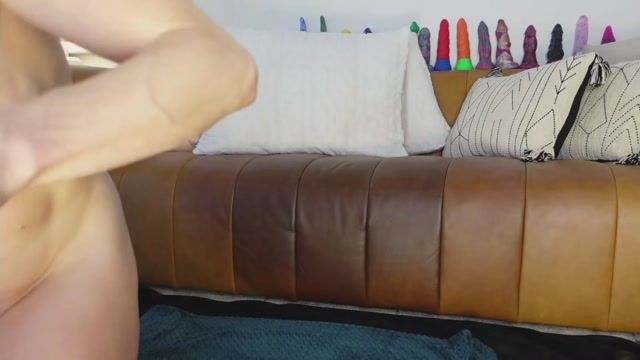 taylor_love_303 2026-02-22 17:32:28