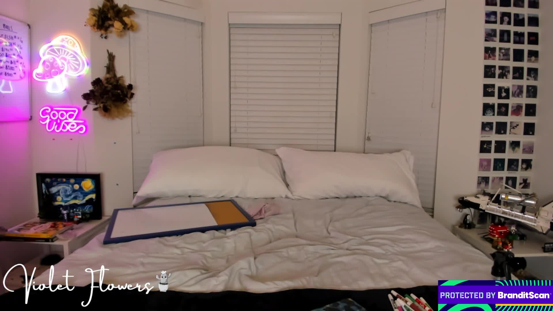 violetttflowers 2026-02-01 04:04:15