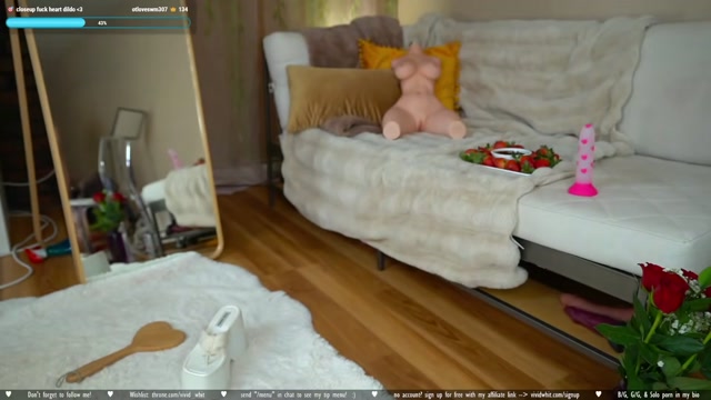 vivid_whit 2026-02-14 23:44:40