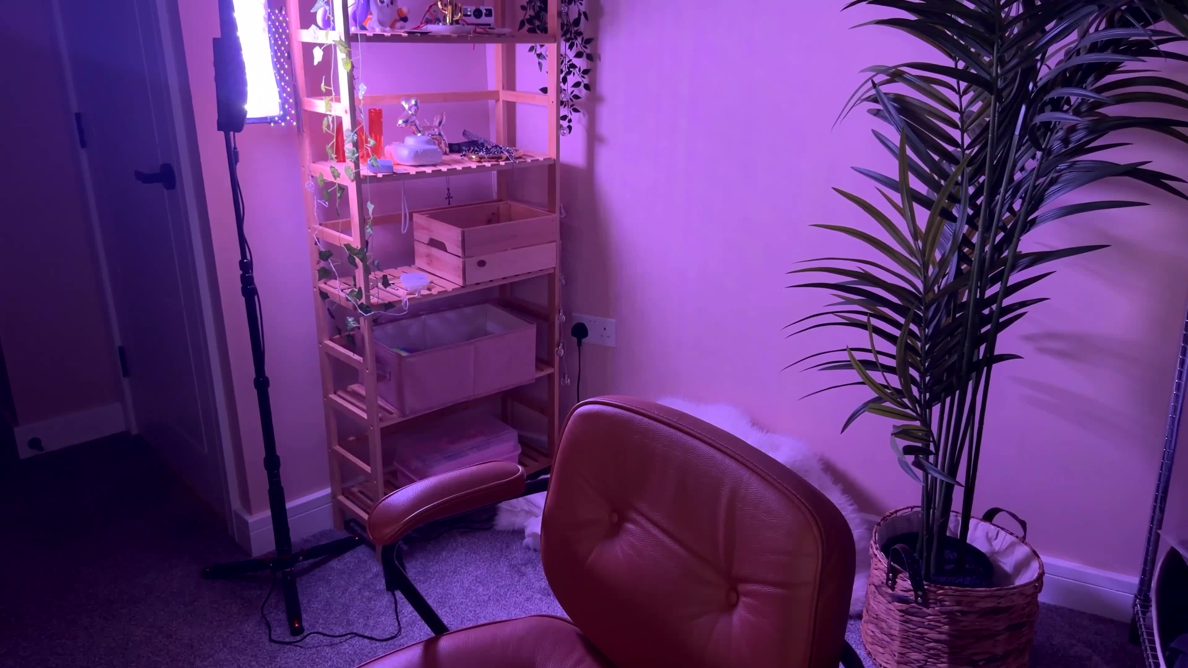 vixenp 2026-02-05 20:56:25