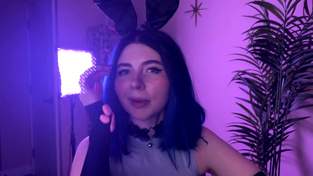 vixenp 2026-02-10 22:42:46