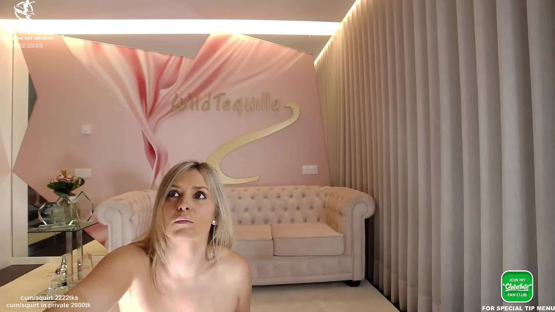 wildtequilla 2026-02-04 23:08:16