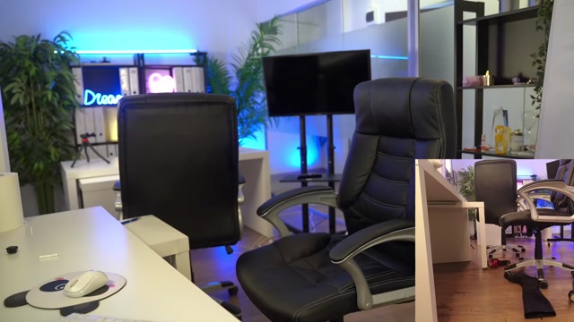 babesgowild 2026-03-03 10:12:35