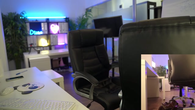 babesgowild 2026-03-10 10:05:03