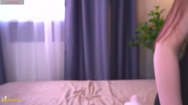 bellacle 2026-03-16 11:04:14