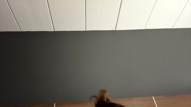 deepthroatqueen33 2026-03-03 15:37:39