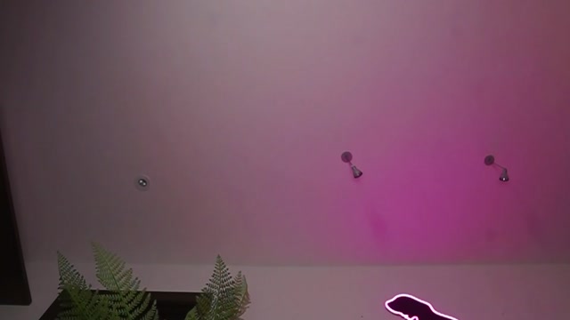 katyerave 2026-03-28 02:30:34